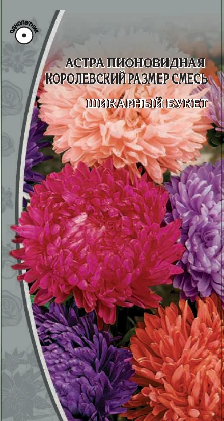 Миниатюра изображения сорта Королевский размер