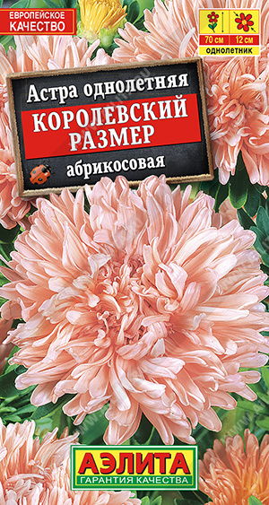 Королевский размер абрикосовая