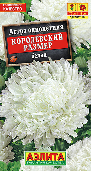 Королевский размер белая