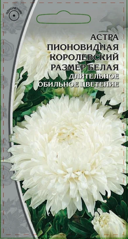 Миниатюра изображения сорта Королевский размер белая