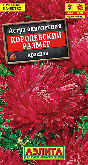 Королевский размер красная