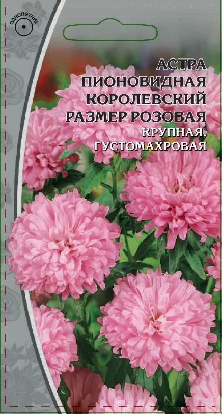 Миниатюра изображения сорта Королевский размер розовая