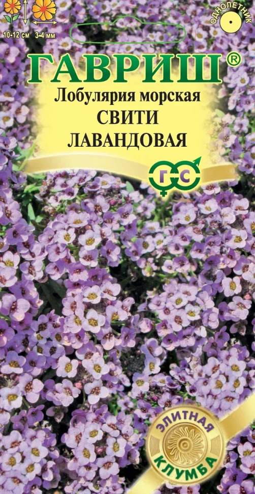 Свити лавандовая