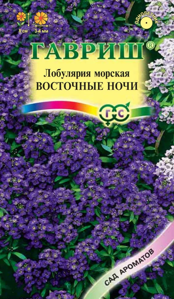 Восточные ночи