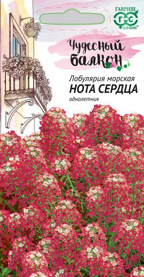 Нота сердца