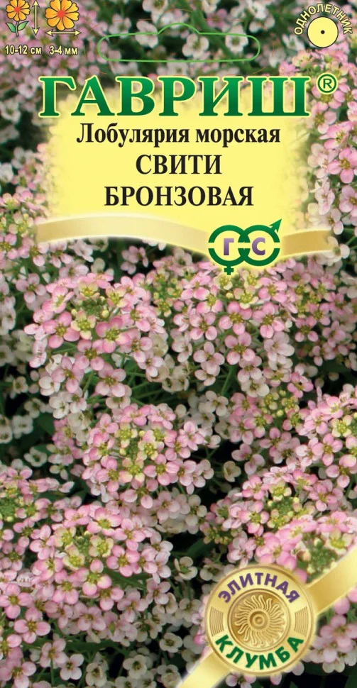 Свити бронзовая