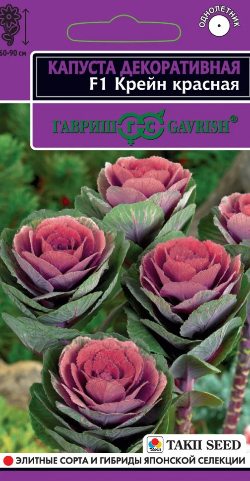 Крейн красная