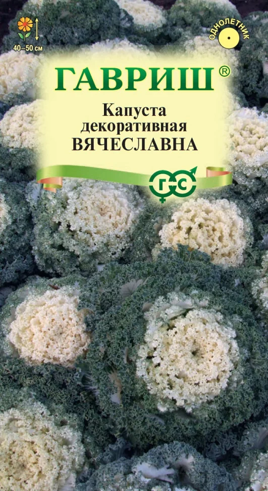 Вячеславна