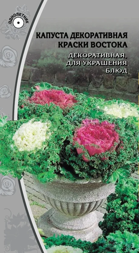 Миниатюра изображения сорта Краски востока