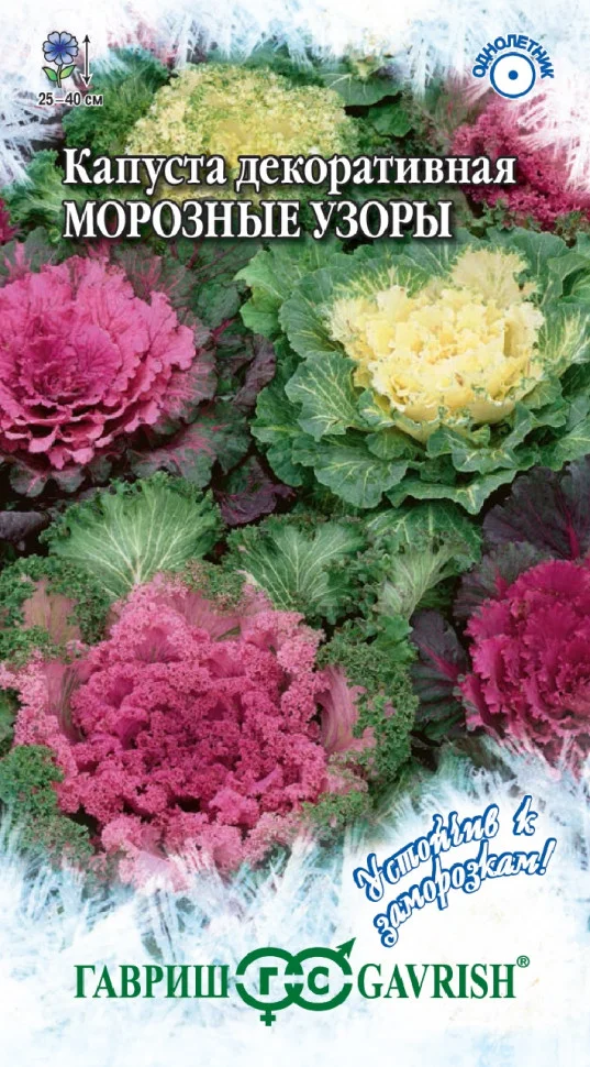 Морозные Узоры 