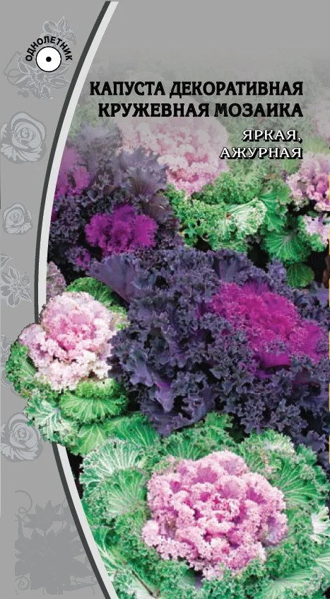 Миниатюра изображения сорта Кружевная мозаика