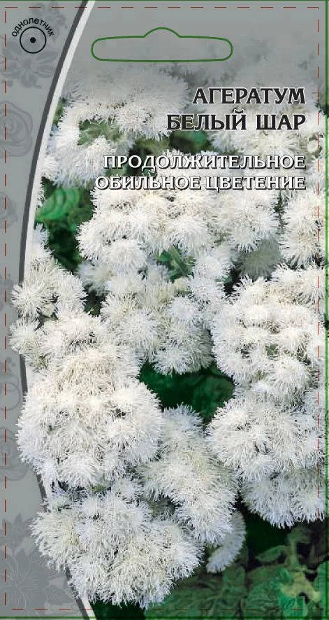 Миниатюра изображения сорта Белый шар