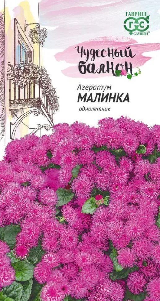 Малинка