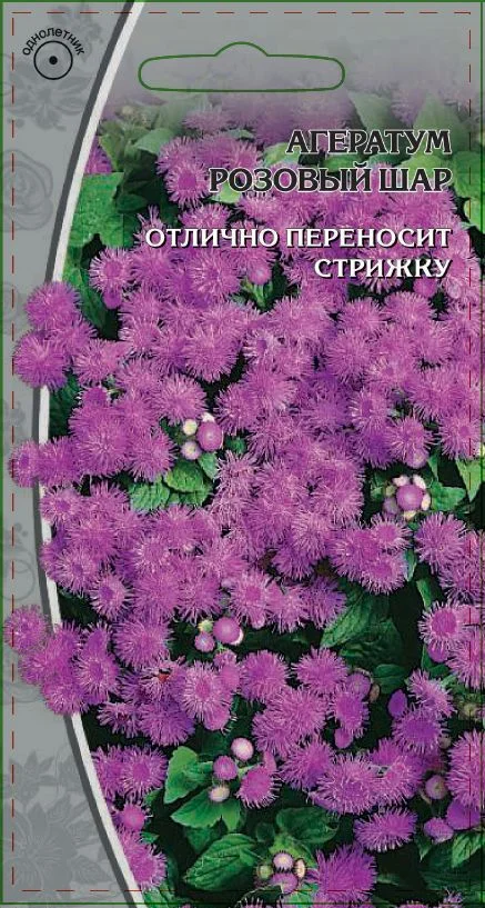 Миниатюра изображения сорта Розовый шар