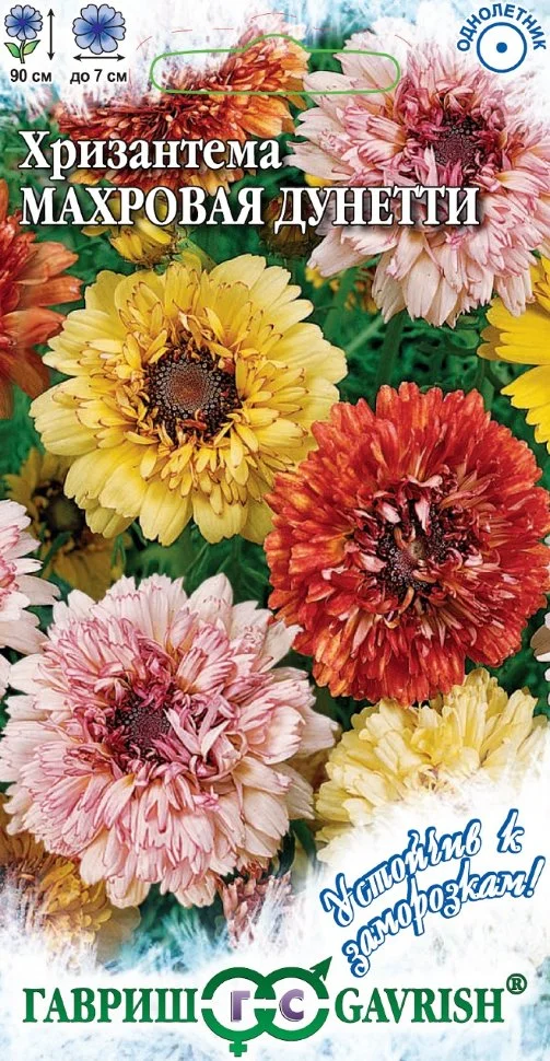 Махровая Дунетти