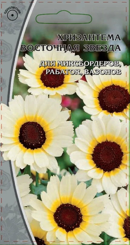 Восточная звезда