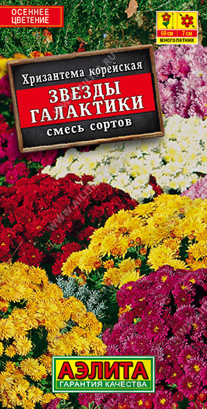 Звезды галактики