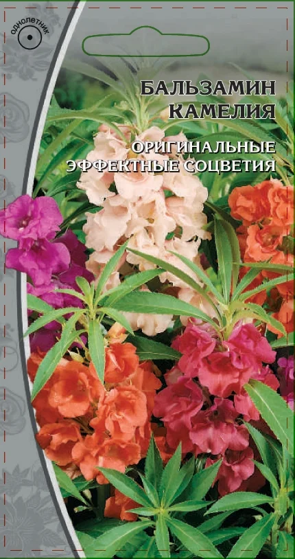 Миниатюра изображения сорта Камелия смесь