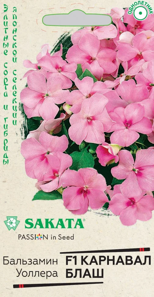 Карнавал Блаш