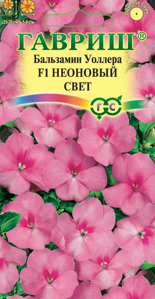 Неоновый свет 