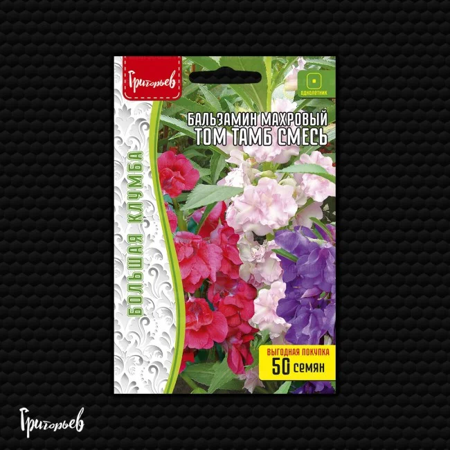 Миниатюра изображения сорта Том Тамб