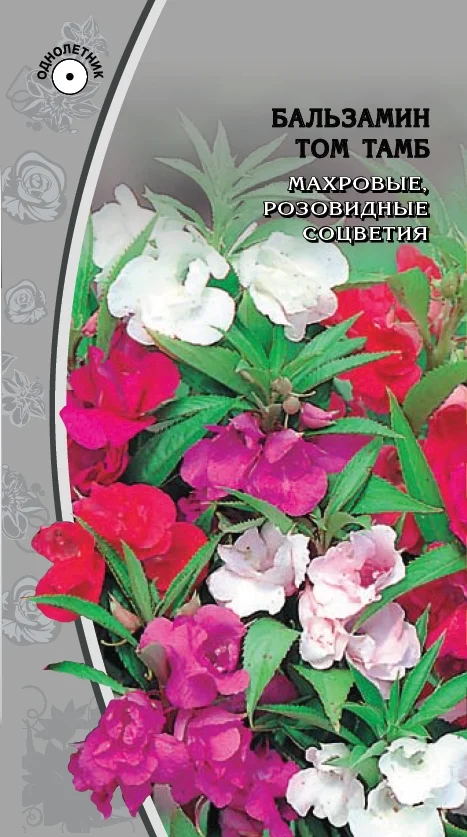 Миниатюра изображения сорта Том Тамб