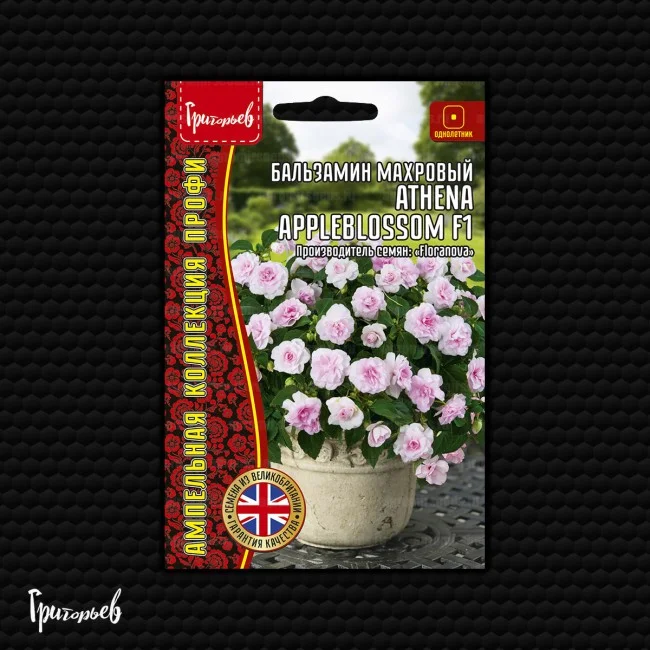 Афина Appleblossom
