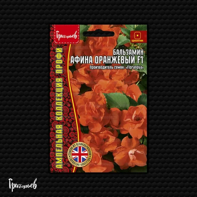 Афина Оранжевый