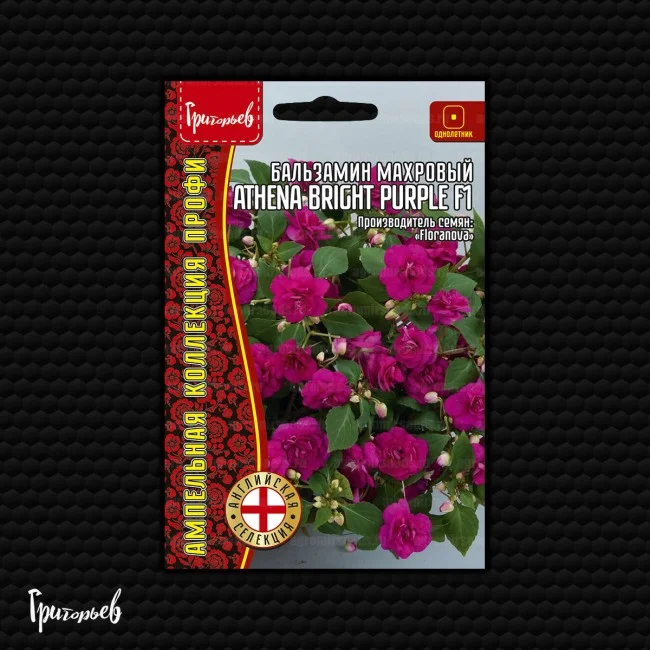 Афина Ярко-Пурпурный