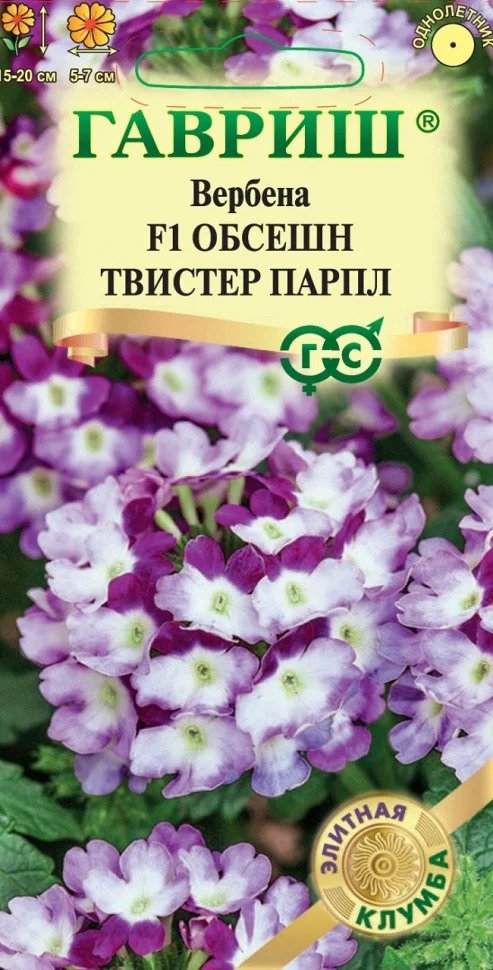 Обсешн Твистер парпл