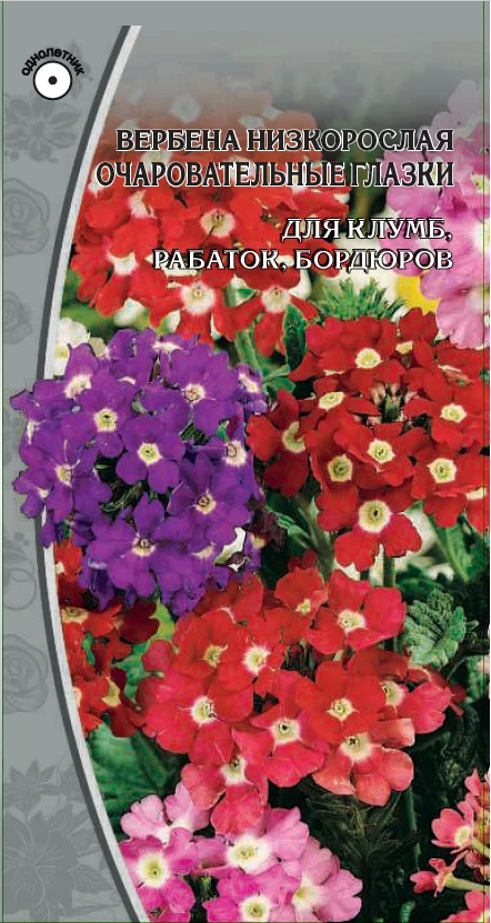 Миниатюра изображения сорта Очаровательные глазки