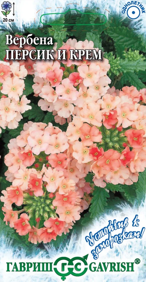 Персик и Крем