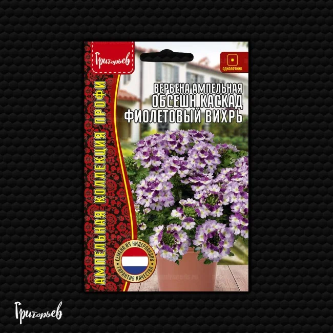 Обсешн Каскад Фиолетовый Вихрь