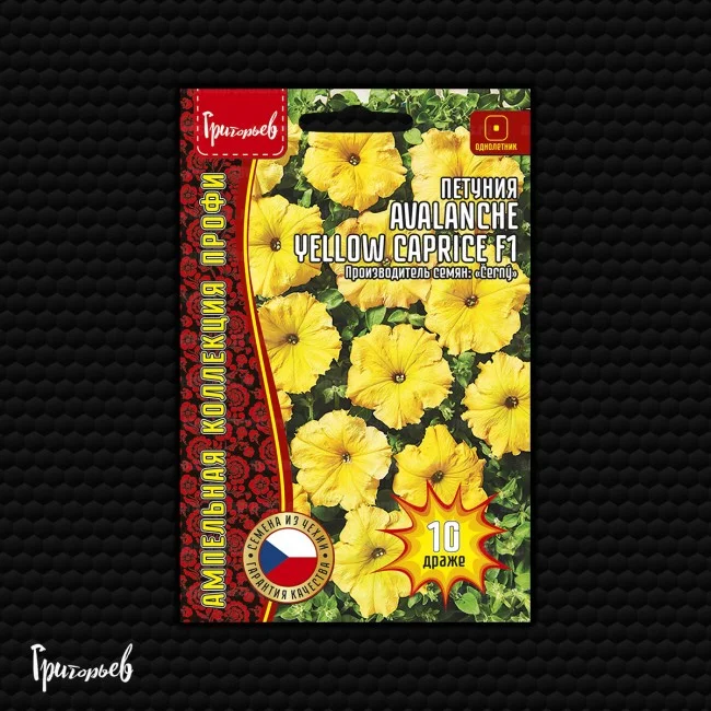 Avalanche Yellow Caprice