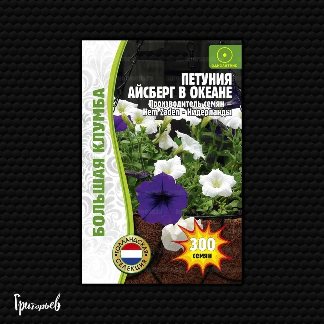 Айсберг в Океане