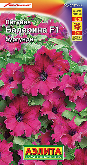 Балерина Бургунди