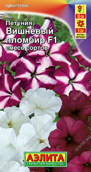 Вишневый пломбир