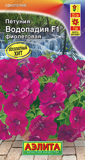 Водопадия фиолетовая