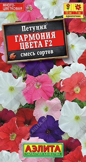 Гармония цвета