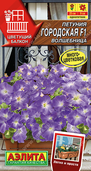 Городская волшебница