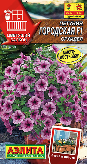 Городская орхидея