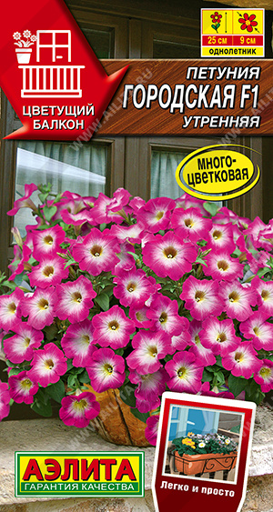 Городская утренняя