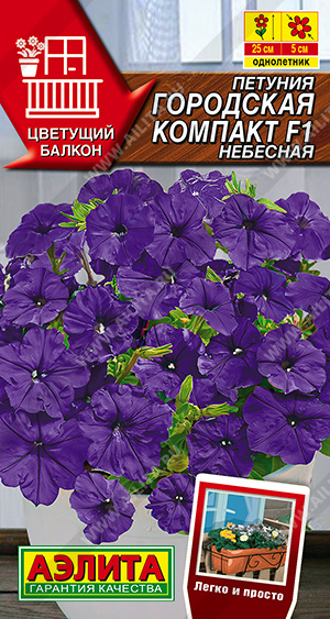 Городская компакт небесная