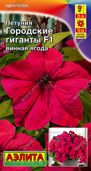 Городские гиганты винная ягода