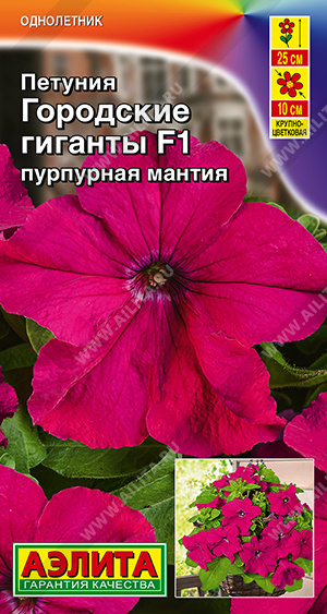 Городские гиганты пурпурная мантия