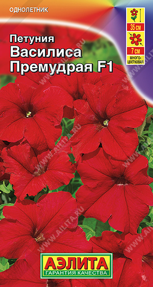 Василиса Премудрая