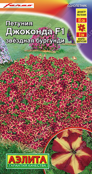 Джоконда звездная бургунди