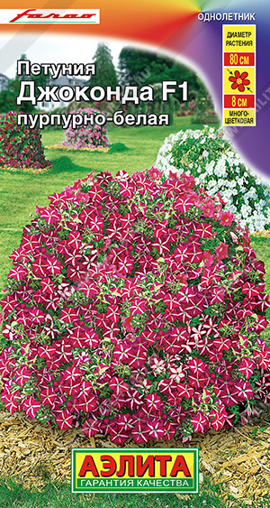 Джоконда пурпурно-белая