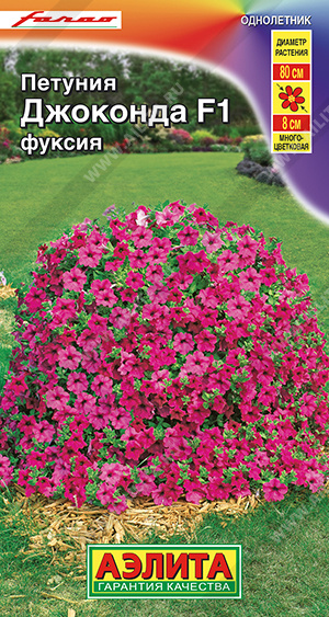 Джоконда фуксия