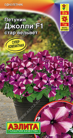 Джолли стар вельвет 